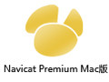 Navicat Premium For Mac 11.2.17